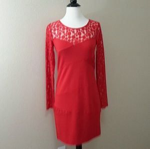 An elegant , round  bodycon dress